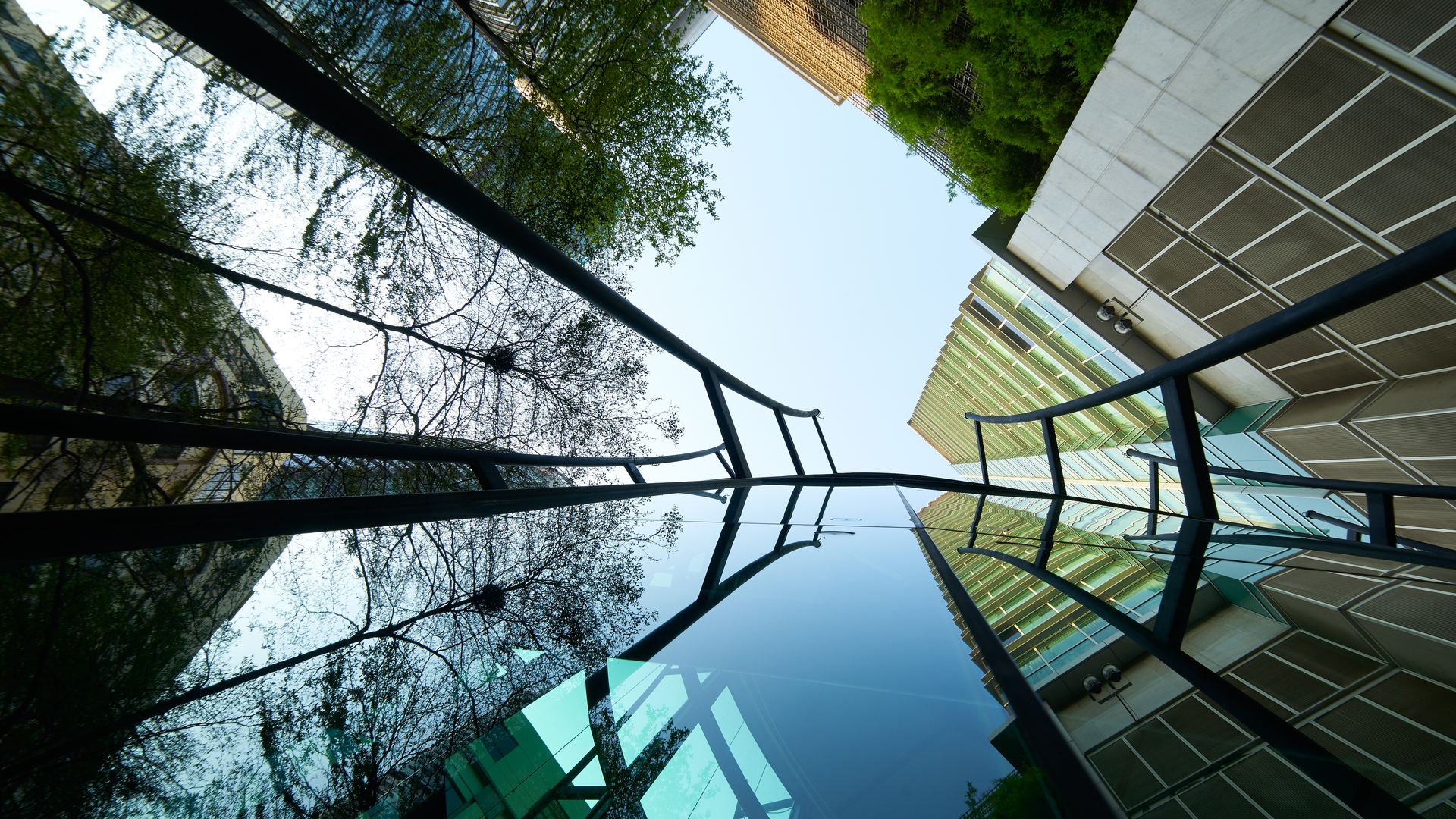 Building and forest